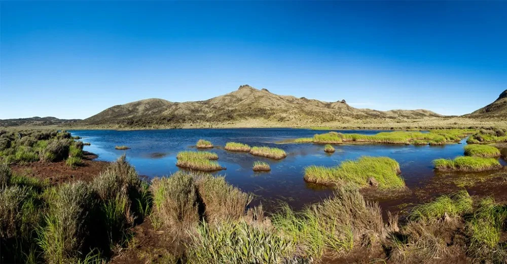 Laguna Magdalena